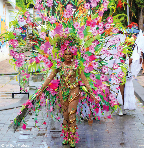 Le carnaval à Sint Maarten