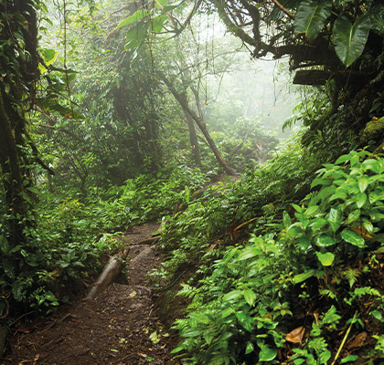 Les activités terrestres à Saint-Martin