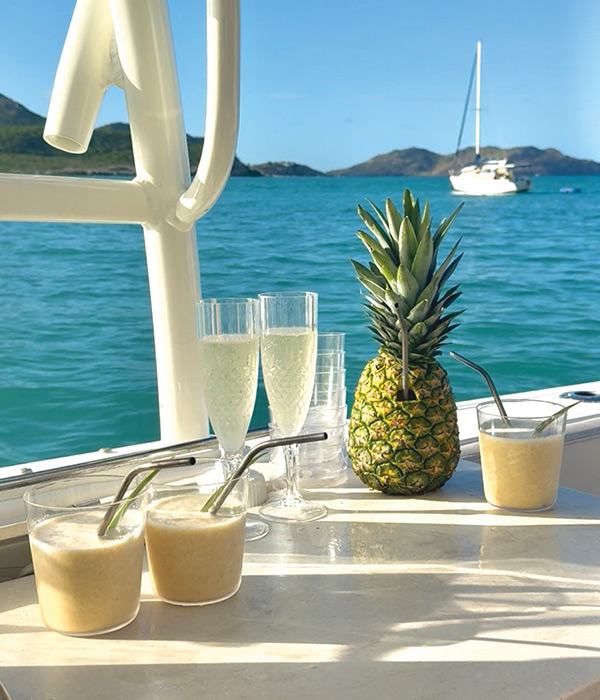 Boat Charters in Saint Martin – Private Excursions & Thrills | Brit’Sea