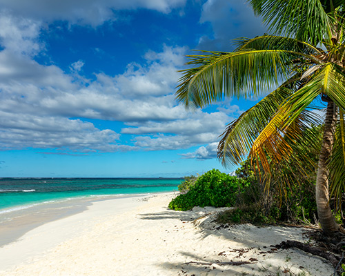 Discover Anguilla